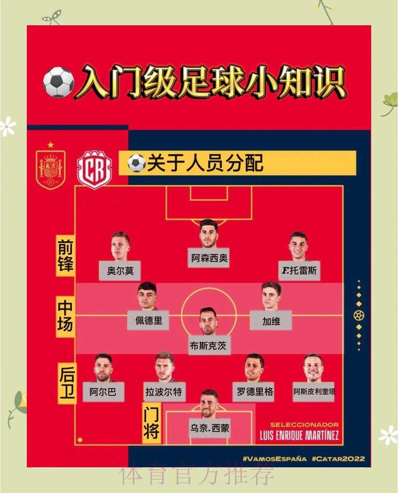 世界杯竞猜平台全面解析,球迷必备参考指南 世界杯竞猜平台全面解析,球迷必备参考指南